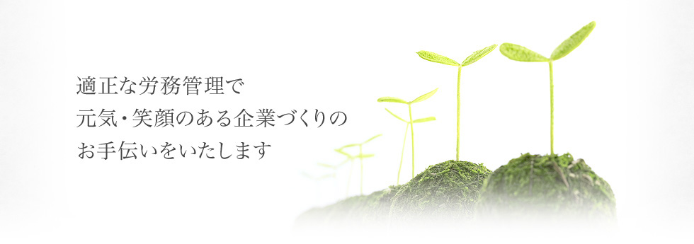 ♪(^∇^*)格安家電は家計のミカタ！新しい家電で新しい日々を